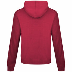 Detroit Red Wings Levelwear Relay Banner Arch Pullover Hoodie Sale