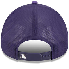 Arizona Diamondbacks New Era 2026 Batting Practice Alternate Apex 9FORTY Adjustable Hat | MLB Near me