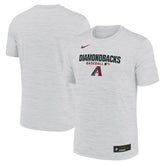 Arizona Diamondbacks Nike Authentic Collection Velocity Dri-FIT T-Shirt | MLB Outlet