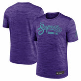 Arizona Diamondbacks Nike Authentic Collection City Connect Velocity Dri-FIT T-Shirt | MLB New