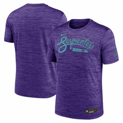 Arizona Diamondbacks Nike Authentic Collection City Connect Velocity Dri-FIT T-Shirt | MLB New