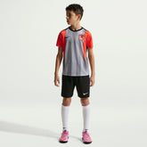 Chelsea Youth 2025/26 Academy Pro Pre-Match Top Gray - Nike