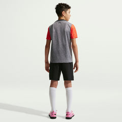 Chelsea Youth 2025/26 Academy Pro Pre-Match Top Gray - Nike