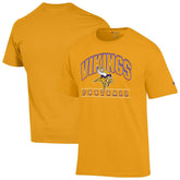 Minnesota Vikings Champion Football T-Shirt