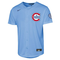 Chicago Cubs Nike Youth Alternate 2 Stadium Jersey | MLB For sale