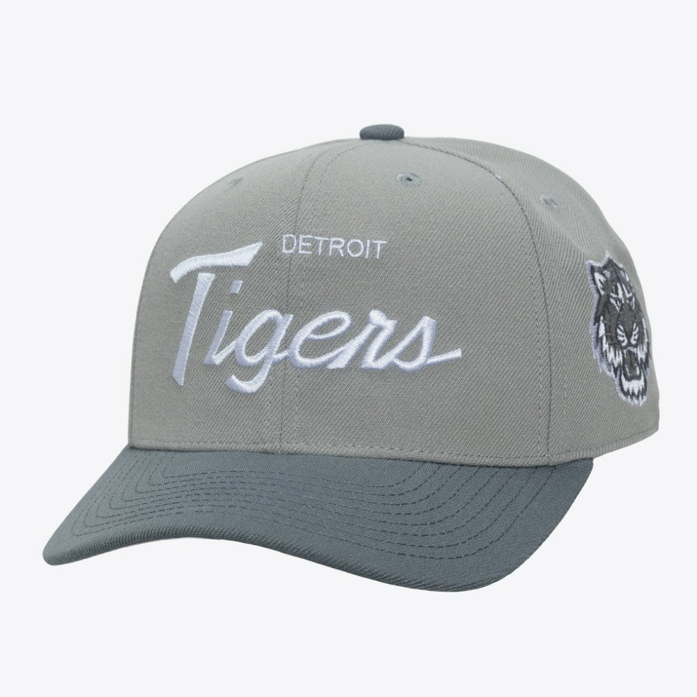 Detroit Tigers Mitchell & Ness Thunderstorm Head Coach Pro-Crown Adjustable Hat | MLB Near me