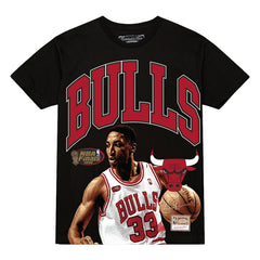 Scottie Pippen Chicago Bulls Hardwood Classics Player Arch T-Shirt sale Discount