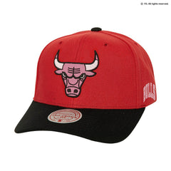 Chicago Bulls x BLACKPINK Pro Crown Snapback Hat On Sale