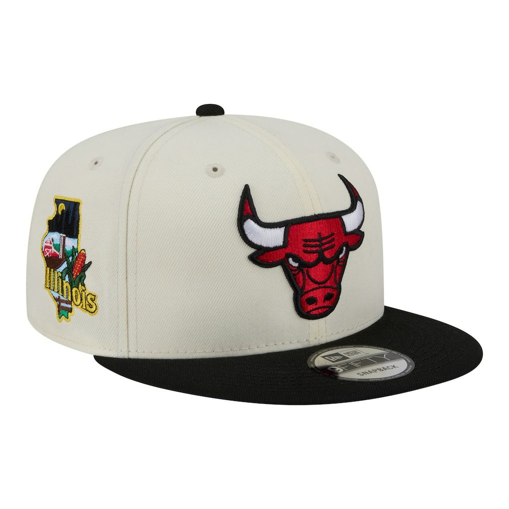 Chicago Bulls Injection Localized 9FIFTY Snapback Hat Discount