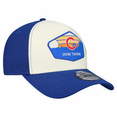 Chicago Cubs New Era 2026 Spring Training Fan Pack Gradient 39THIRTY Flex Hat | MLB US