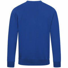 Toronto Blue Jays Levelwear Zane Banner Arch Sweatshirt | MLB For sale