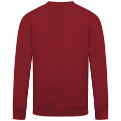 Arizona Diamondbacks Levelwear Zane Banner Arch Sweatshirt | MLB New
