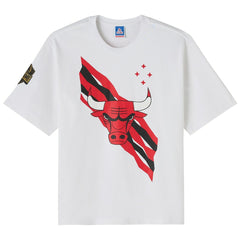 Chicago Bulls OVO x NBA Heavyweight T-Shirt sale New