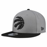 Toronto Raptors Core Logo Storm Gray Two-Tone 9FIFTY Snapback Hat Discount