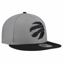 Toronto Raptors Core Logo Storm Gray Two-Tone 9FIFTY Snapback Hat Discount