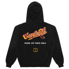 Arizona Cardinals Born x Raised Unisex Pro Script Hoodie