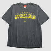 Pittsburgh Steelers Fanatics Reebok 2000s T-Shirt