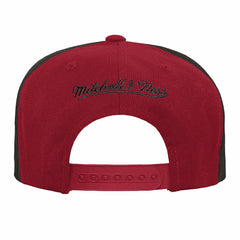 Tampa Bay Buccaneers Mitchell & Ness Youth Team Mascot Snapback Hat