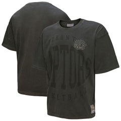 Toronto Raptors Downtown Collection Premium T-Shirt Online
