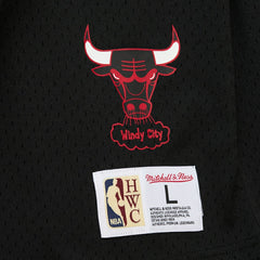 Dennis Rodman Chicago Bulls Mesh Name & Number Short Sleeve Hoodie sale Online