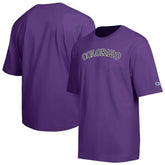 Colorado Rockies Champion All Star Chenille Wordmark T-Shirt | MLB Sale