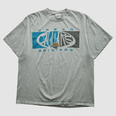 Jacksonville Jaguars Fanatics Lee Apparel 2000s T-shirt