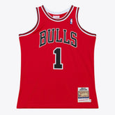 Derrick Rose Chicago Bulls 2008-09 Authentic Jersey sale Outlet