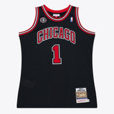 Derrick Rose Chicago Bulls 2010-11 Authentic Jersey sale Discount