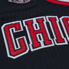 Derrick Rose Chicago Bulls 2010-11 Authentic Jersey sale Discount