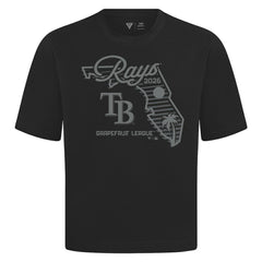 Tampa Bay Rays Levelwear Sunrise Luxe Signature Knit T-Shirt | MLB For sale
