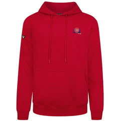 Chicago Cubs Levelwear Panoramic Podium Hoodie | MLB Shop