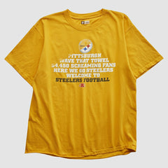 Pittsburgh Steelers Fanatics NFL 2010s T-shirt