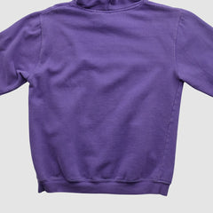Minnesota Vikings Fanatics NFL 2000s Hooded Pullover Sweatshirt