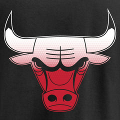 Chicago Bulls Gradient Logo Pullover Hoodie On Sale