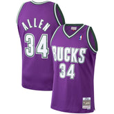 Ray Allen Milwaukee Bucks 2000/01 Hardwood Classics Swingman Jersey Online