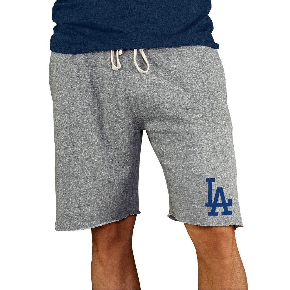 Los Angeles Dodgers Concepts Sport Mainstream Terry Shorts | MLB On Sale
