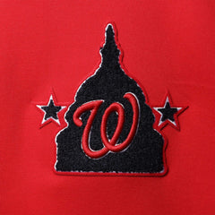 Washington Nationals Pro Standard Logo Pullover Hoodie | MLB New
