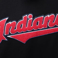 Cleveland Guardians Pro Standard Team Logo T-Shirt | MLB On Sale