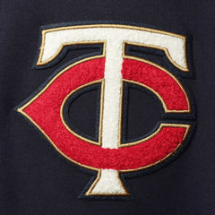 Minnesota Twins Pro Standard Team Logo Pullover Hoodie | MLB Discount