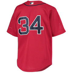 David Ortiz Boston Red Sox Mitchell & Ness Youth Cooperstown Collection Batting Practice Jersey | MLB Sale