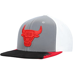 Chicago Bulls Day 5 Snapback Hat For Sale
