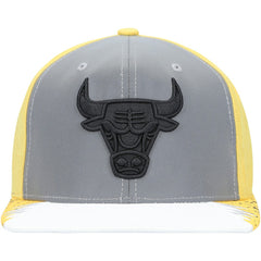 Chicago Bulls Day 5 Snapback Hat Online