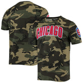 Chicago Cubs Pro Standard Team T-Shirt | MLB New