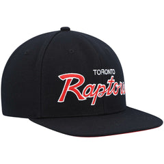 Toronto Raptors Hardwood Classics Script 2.0 Snapback Hat Outlet