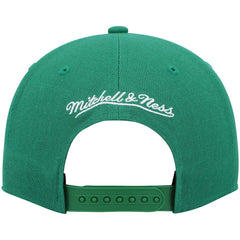 Boston Celtics Hardwood Classics Team Ground 2.0 Snapback Hat Online