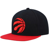 Toronto Raptors Team Two-Tone 2.0 Snapback Hat New