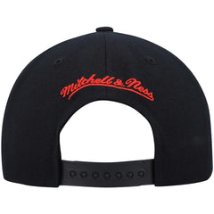 Toronto Raptors Team Two-Tone 2.0 Snapback Hat New