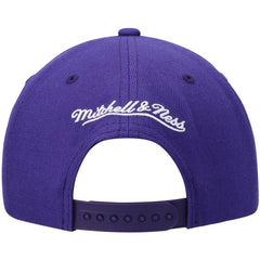 Phoenix Suns Ground 2.0 Snapback Hat Online
