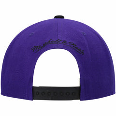 Sacramento Kings Hardwood Classics Snapback Hat Online