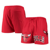 Chicago Bulls Pro Standard Mesh Capsule Shorts Outlet